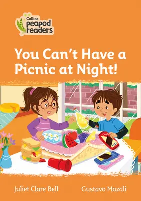 Nivel 4 - ¡No se puede hacer un picnic de noche! - Level 4 - You Can't Have a Picnic at Night!