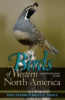 Aves del Oeste de Norteamérica: Una Guía Fotográfica una Guía Fotográfica - Birds of Western North America: A Photographic Guide a Photographic Guide