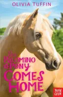 Un poni palomino vuelve a casa - Palomino Pony Comes Home