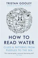 Cómo leer el agua: pistas y patrones desde los charcos hasta el mar - How To Read Water - Clues & Patterns from Puddles to the Sea