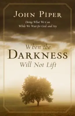 Cuando la oscuridad no se disipa: Hacer lo que podamos mientras esperamos a Dios... y la alegría - When the Darkness Will Not Lift: Doing What We Can While We Wait for God--And Joy