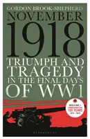 Noviembre de 1918 - Triunfo y tragedia en los últimos días de la Primera Guerra Mundial - November 1918 - Triumph and Tragedy in the Final Days of WW1