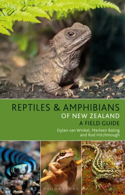 Reptiles y anfibios de Nueva Zelanda - Reptiles and Amphibians of New Zealand