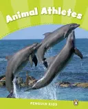 Nivel 4: Atletas animales AICLE - Level 4: Animal Athletes CLIL