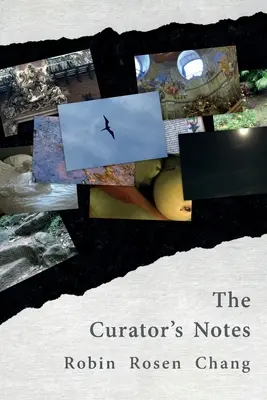 Notas del conservador - The Curator's Notes