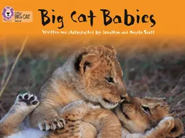 Los bebés de los grandes felinos - Big Cat Babies