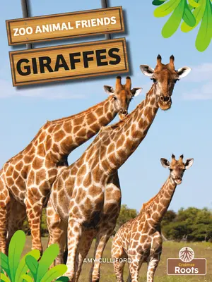 Jirafas - Giraffes