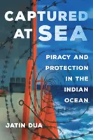 Capturados en el mar, 3: Piratería y protección en el océano Índico - Captured at Sea, 3: Piracy and Protection in the Indian Ocean