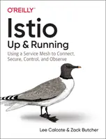 Istio: Up and Running: Uso de una malla de servicios para conectar, proteger, controlar y observar - Istio: Up and Running: Using a Service Mesh to Connect, Secure, Control, and Observe