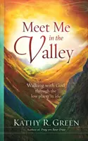 Encuéntrame en el valle: Caminando con Dios por los lugares bajos de la vida - Meet Me in the Valley: Walking With God Through the Low Places in Life