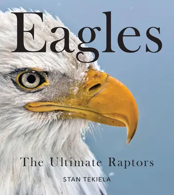 Águilas Calvas: Las rapaces por excelencia - Bald Eagles: The Ultimate Raptors