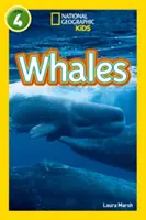 Ballenas - Nivel 4 - Whales - Level 4