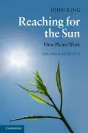 Alcanzando el sol: Cómo funcionan las plantas - Reaching for the Sun: How Plants Work