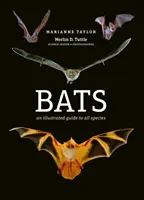 Murciélagos - Guía ilustrada de todas las especies - Bats - An illustrated guide to all species