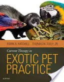 Terapia actual en la práctica de mascotas exóticas - Current Therapy in Exotic Pet Practice