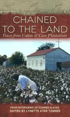 Encadenados a la tierra: Voces de las plantaciones de algodón y caña - Chained to the Land: Voices from Cotton & Cane Plantations