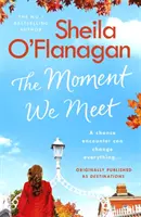 El momento en que nos conocimos: Historias de amor, esperanza y encuentros fortuitos de la autora número 1 en ventas - The Moment We Meet: Stories of Love, Hope and Chance Encounters by the No. 1 Bestselling Author