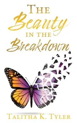 La belleza en la avería - The Beauty in the Breakdown