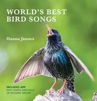 Los mejores cantos de pájaros del mundo - World's Best Bird Songs