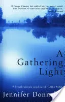 Reuniendo la luz - Gathering Light