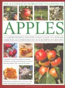 La enciclopedia mundial ilustrada de las manzanas: Una completa guía de identificación de más de 400 variedades acompañada de 60 deliciosas recetas - The Illustrated World Encyclopedia of Apples: A Comprehensive Identification Guide to Over 400 Varieties Accompanied by 60 Scrumptious Recipes