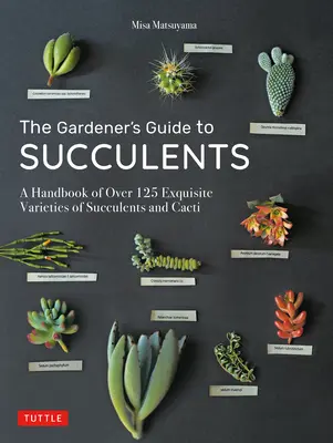 The Gardener's Guide to Succulents: Manual de más de 125 exquisitas variedades de suculentas y cactus - The Gardener's Guide to Succulents: A Handbook of Over 125 Exquisite Varieties of Succulents and Cacti