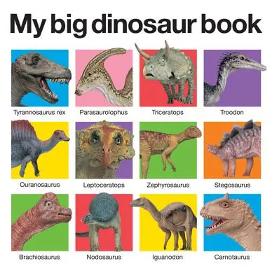 Mi gran libro de dinosaurios - My Big Dinosaur Book