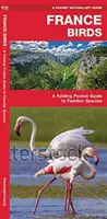 Aves de Francia - Guía plegable de bolsillo de especies conocidas - France Birds - A Folding Pocket Guide to Familiar Species