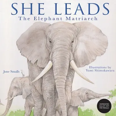 Ella Lidera: La Matriarca Elefante - She Leads: The Elephant Matriarch