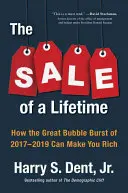 La venta de su vida: Cómo puede hacerte rico el estallido de la gran burbuja de 2017-2019 - The Sale of a Lifetime: How the Great Bubble Burst of 2017-2019 Can Make You Rich