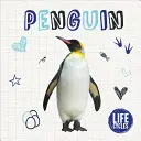 Pingüino - Penguin