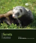 Hurones - Ferrets