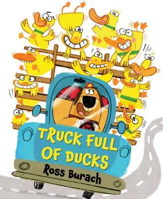 Un camión lleno de patos - Truck Full of Ducks