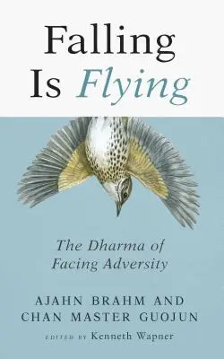 Caer es volar, 1: El Dharma de afrontar la adversidad - Falling Is Flying, 1: The Dharma of Facing Adversity