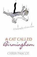 El gato llamado Birmingham - Cat Called Birmingham