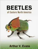 Escarabajos del este de Norteamérica - Beetles of Eastern North America