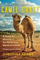 Locos por los camellos: Una búsqueda de milagros en el misterioso mundo de los camellos - Camel Crazy: A Quest for Miracles in the Mysterious World of Camels