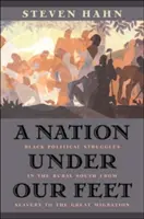 A Nation Under Our Feet: Black Political Struggles in the Rural South from Slavery to the Great Migration (Una nación bajo nuestros pies: las luchas políticas de los negros en el Sur rural desde la esclavitud hasta la Gran Migración) - A Nation Under Our Feet: Black Political Struggles in the Rural South from Slavery to the Great Migration