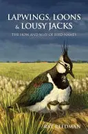 Avefrías, somormujos y jotes piojosos - Lapwings, Loons and Lousy Jacks