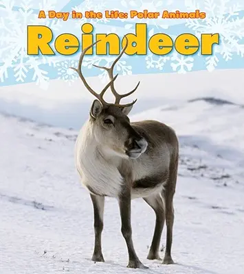 Reno - Reindeer