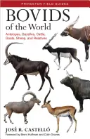 Bóvidos del mundo: Antílopes, Gacelas, Bovinos, Caprinos, Ovinos y Parientes - Bovids of the World: Antelopes, Gazelles, Cattle, Goats, Sheep, and Relatives