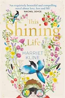 Esta vida resplandeciente: una poderosa novela sobre cómo atesorar la vida - This Shining Life - a powerful novel about treasuring life