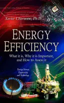 Eficiencia energética: qué es, por qué es importante y cómo evaluarla - Energy Efficiency - What it is, Why it is Important, and How to Assess it