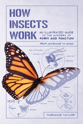 Cómo funcionan los insectos: Guía ilustrada de las maravillas de la forma y la función: de las antenas a las alas - How Insects Work: An Illustrated Guide to the Wonders of Form and Function--From Antennae to Wings