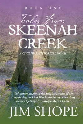 Cuentos de Skeenah Creek: Una novela de ficción histórica sobre la Guerra Civil - Tales From Skeenah Creek: A Civil War Historical Fiction Novel
