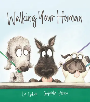 Paseando a tu humano - Walking Your Human