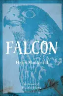 Halcón - Falcon