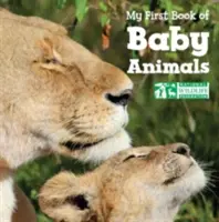 Mi primer libro de animales - My First Book of Baby Animals