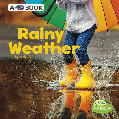 Tiempo lluvioso: Un libro 4D - Rainy Weather: A 4D Book