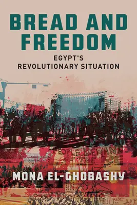 Pan y libertad: La situación revolucionaria de Egipto - Bread and Freedom: Egypt's Revolutionary Situation
